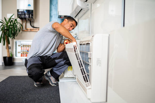 Best Air Duct Sanitizing Services  in Leesburg, OH