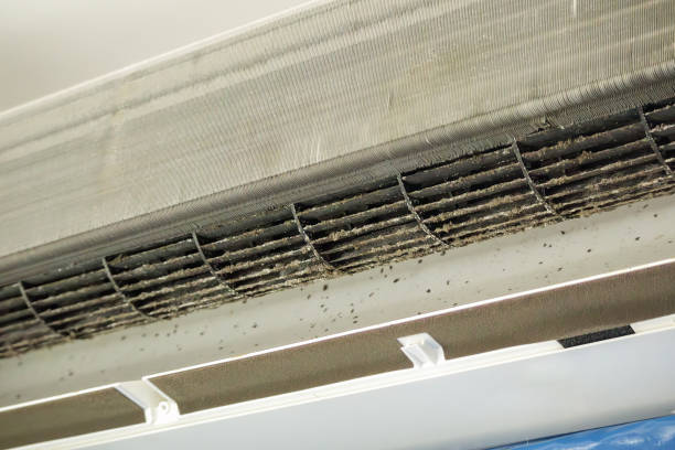 Best Ventilation Cleaning Services  in Leesburg, OH